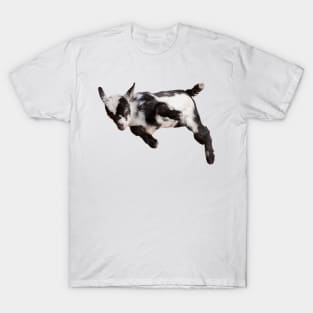 Bouncing Baby Goat T-Shirt